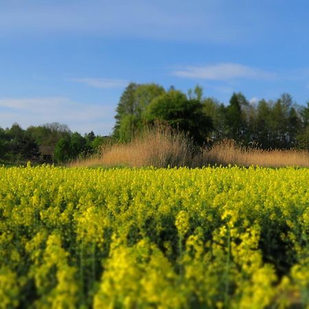 Apartamenty siostra i siostra Laziska  Esterno foto